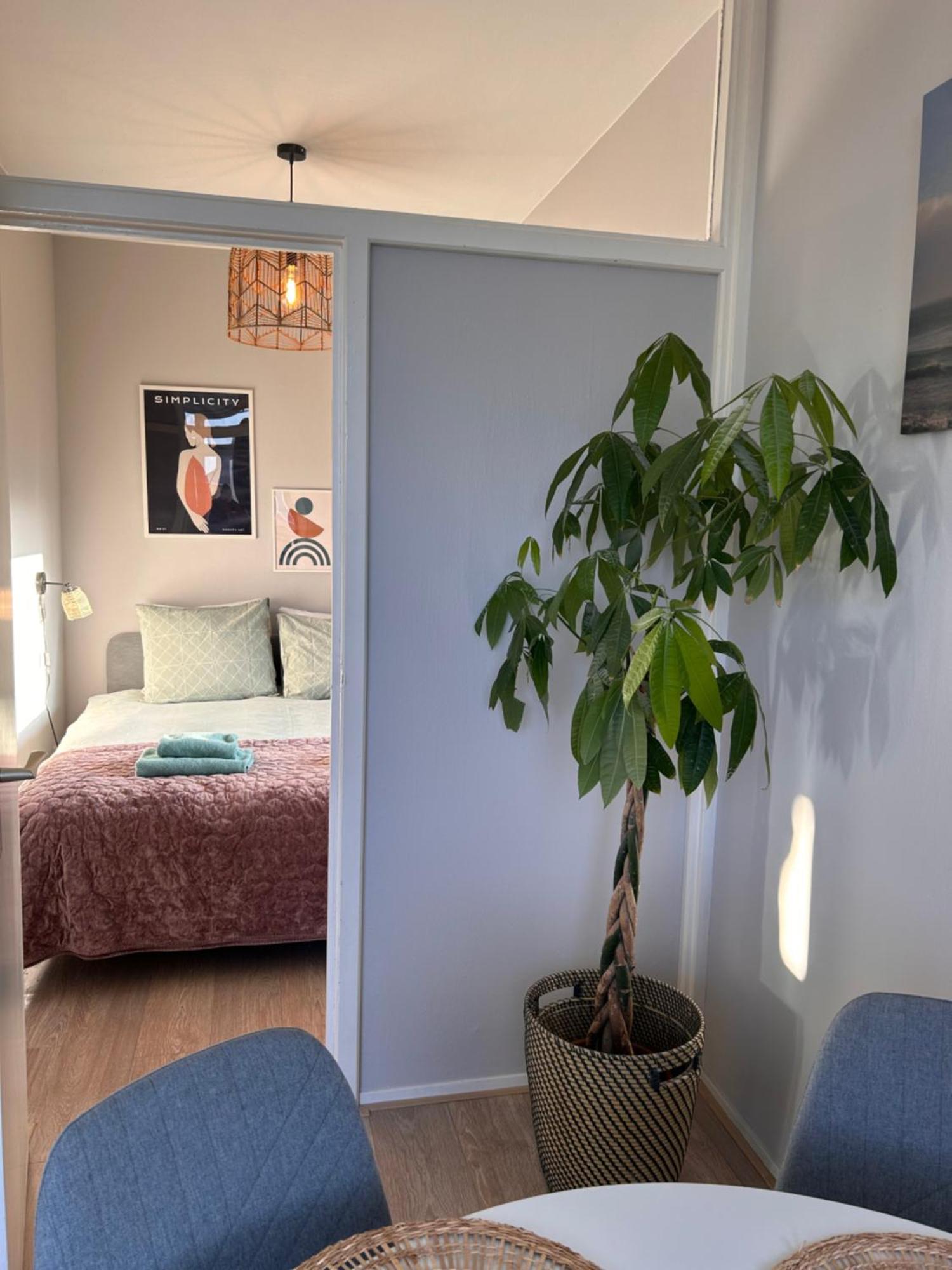Amsterdam Beach Apartment 17, Incl Parking + Garden Zandvoort Extérieur photo